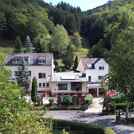 Ferien Und Selbstversorgerhaus Fuer Gruppen Sauerthaler Hof - Loreley Bagian luar foto
